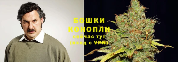 шишки Гусев