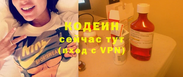 шишки Гусев