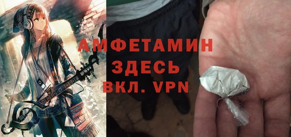 шишки Гусев