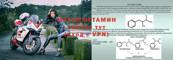 шишки Гусев