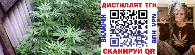 ТГК вейп с тгк  гидра   Озёры 